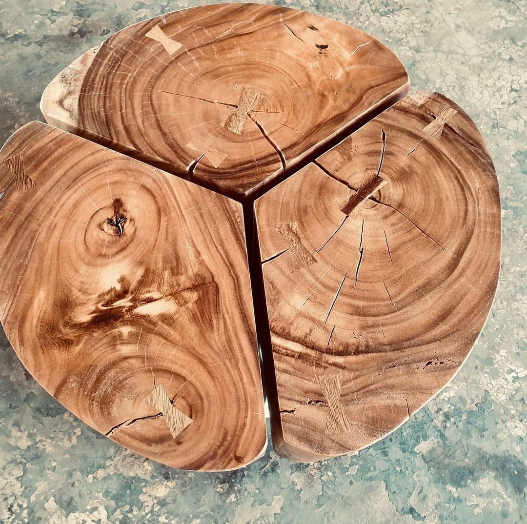 ART - Chamcha wood trunk coffee table